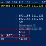 Test if a Network Port Is Open